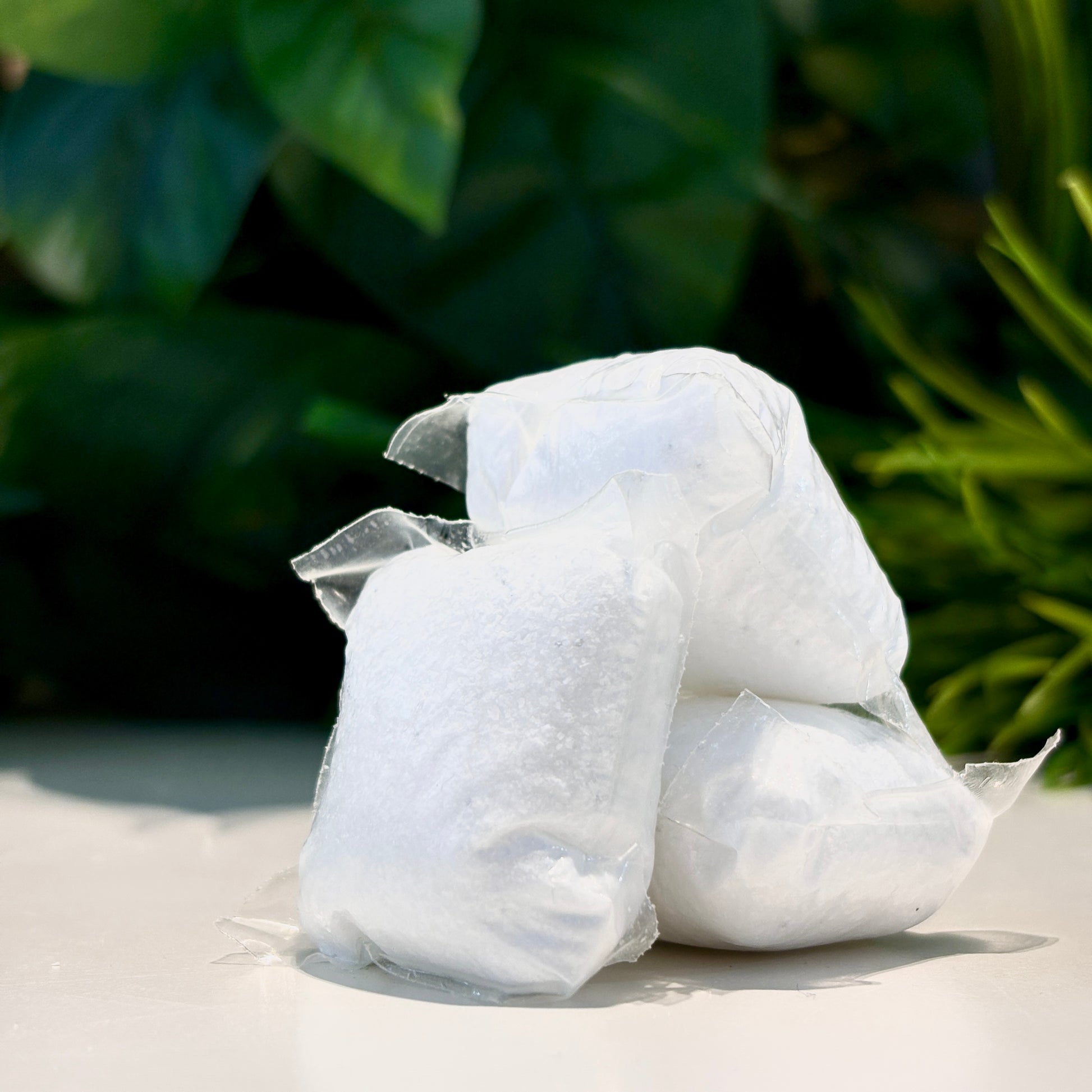 Eco Company dishwasher pods with green plants in background.