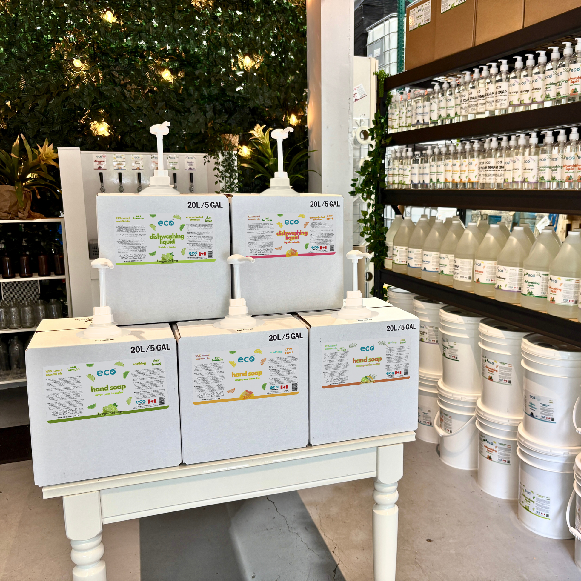 Refill Station Display of eco-friendly refill boxes of dish soaps and hand soaps.