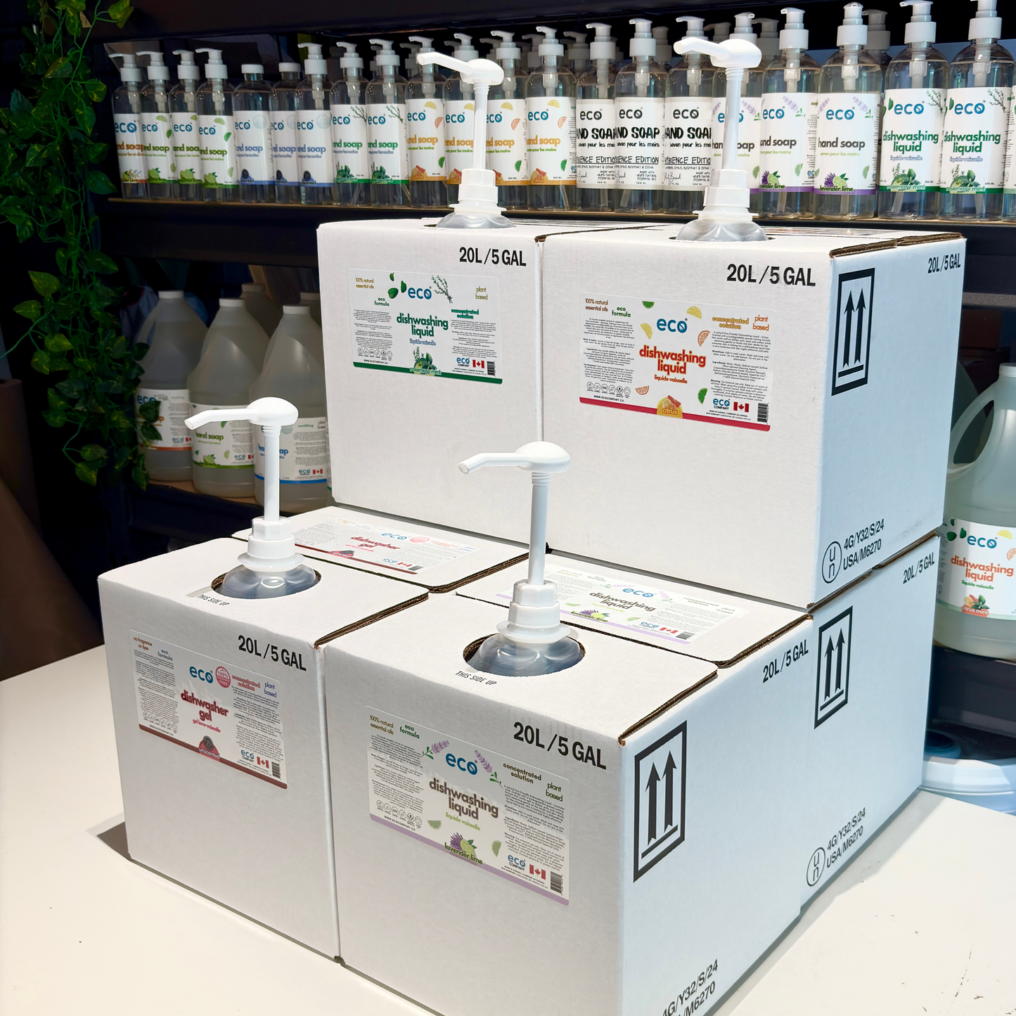 Dishwashing Liquid - Eco Cube